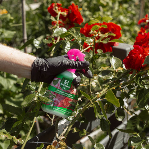 E! Mittel gegen Blattläuse Schildläuse und Spinnmilben Sprühflasche 250ml