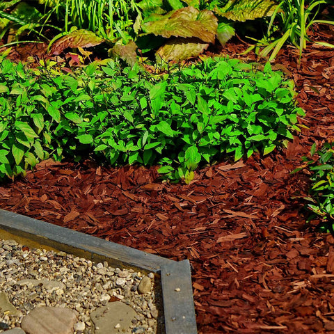 Dekorative Holzschnitzel / Deko Mulch