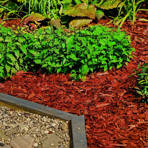 Dekorative Holzschnitzel / Deko Mulch