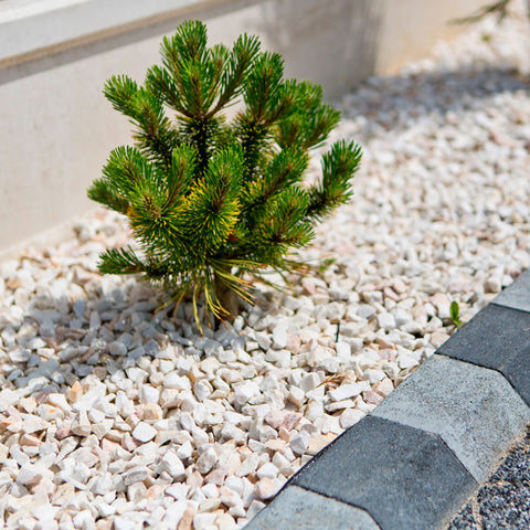 Edelsplitt / Kieselsteine für Garten - Beige Edelsplitt