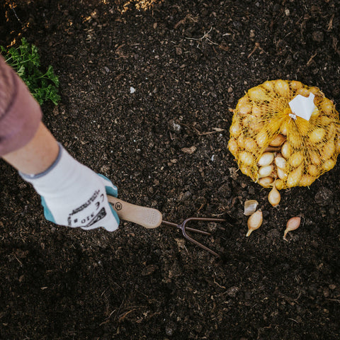 Gartenkralle mit Holzgriff