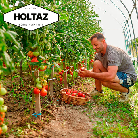 Pflanzstäbe Tomatenstangen aus Holz