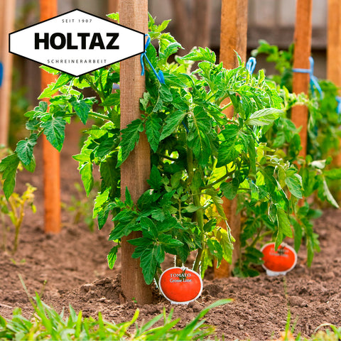 Pflanzstäbe Tomatenstangen aus Holz