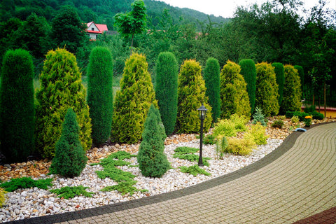 Ziersteine – Kies für Garten Deko - Gemischter Kies